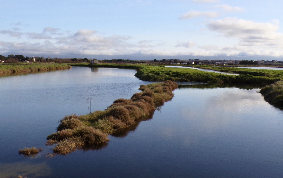 You are currently viewing Mouvement d&rsquo;eau – Modification marais nord