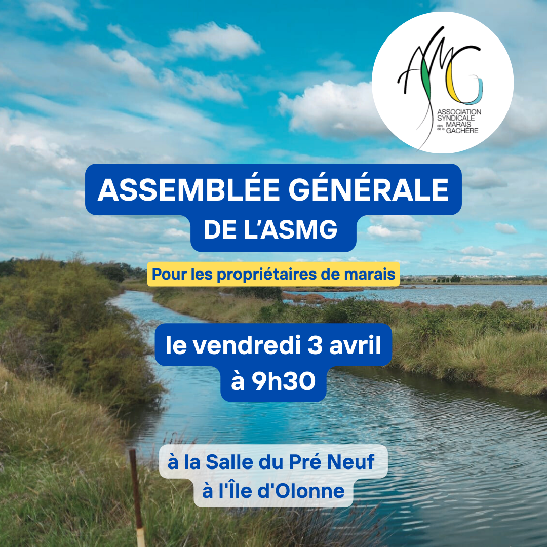 You are currently viewing Assemblée Générale des propriétaires le 3 avril 2026