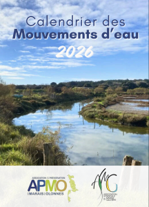 Lire la suite à propos de l’article Le calendrier APMO–ASMG est disponible !