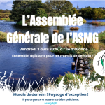 AG ASMG 2026