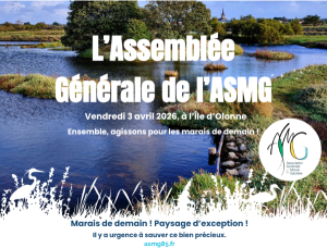 Lire la suite à propos de l’article Assemblée Générale ASMG du 3 avril 2026 : une mobilisation forte autour de l’avenir des marais