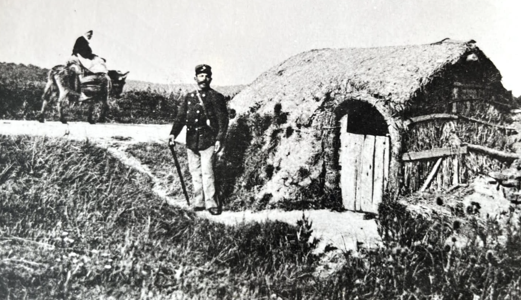 You are currently viewing Faïques-niouzes et idées reçues sur le marais : les bovins et autres équidés abîment-ils les bossis ?